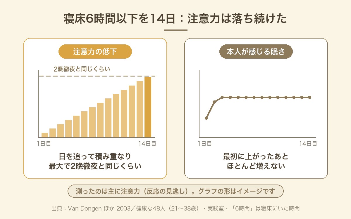 寝床にいる時間が6時間以下の生活を14日続けると、注意力の低下は日を追って積み重なり最大で2晩徹夜と同じくらいになったが、本人が感じる眠さはほとんど増えなかったことを示すイメージ図