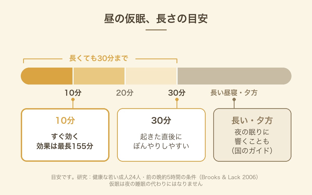 昼の仮眠の長さの目安。10分はすぐ効く、30分は起きた直後にぼんやりしやすい、長い昼寝や夕方の昼寝は夜の眠りに響くことも